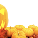 Illustration for article titled Simi Valley Sex Offenders Sue for the Right to Garishly Decorate Their Houses for Halloween